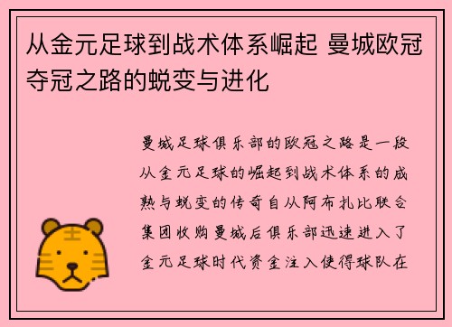 从金元足球到战术体系崛起 曼城欧冠夺冠之路的蜕变与进化